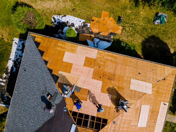 Best Roof Leak Repair  in Demarest, NJ