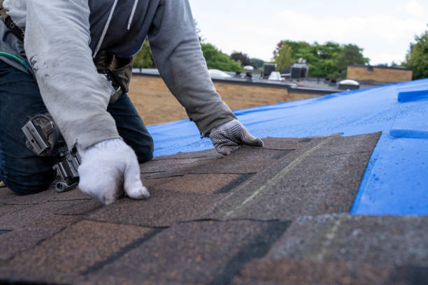 Roof Gutter Cleaning in Demarest, NJ