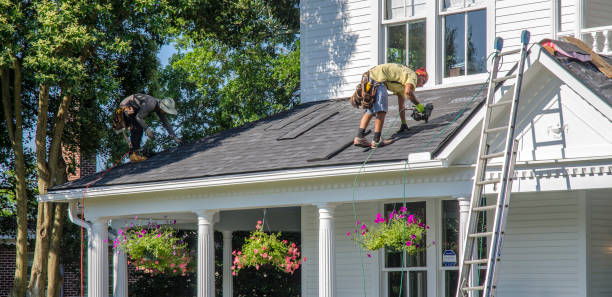 Best Roof Gutter Cleaning  in Demarest, NJ