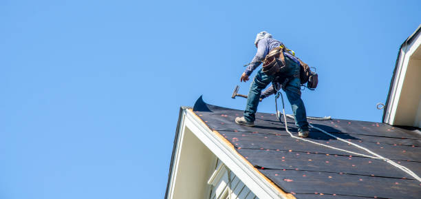 Best Roof Maintenance Services  in Demarest, NJ